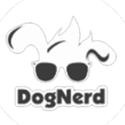 Logo-16_2.png